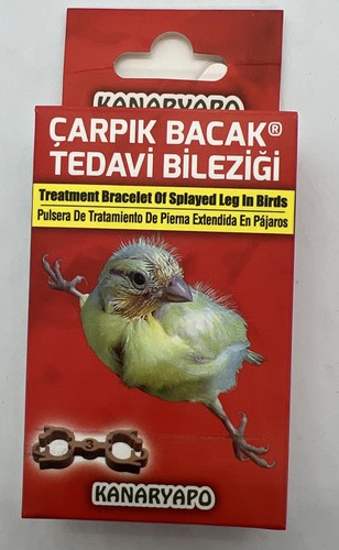 Canary finch bird splayed leg - canary,