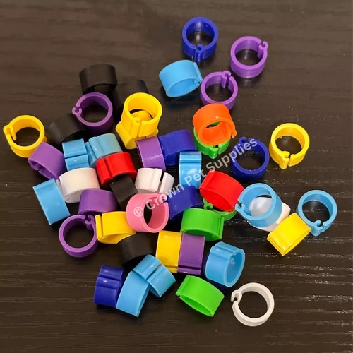 100pcs leg bands plastic fit - leg,